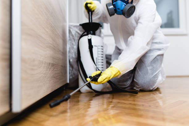 Best Exterminator Services  in Quanah, TX