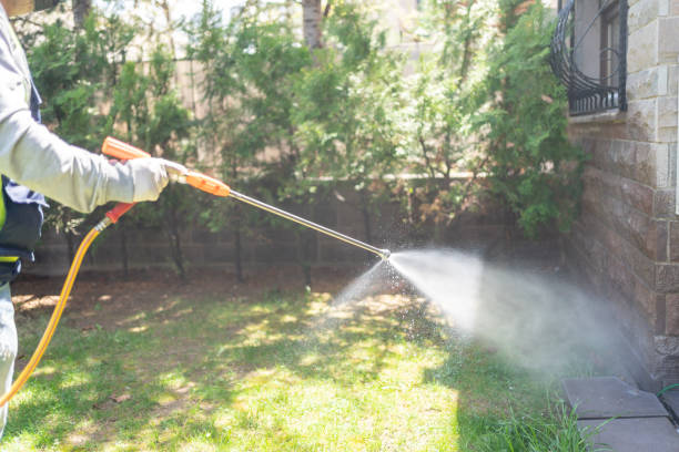 Pest Control for Restaurants in Quanah, TX