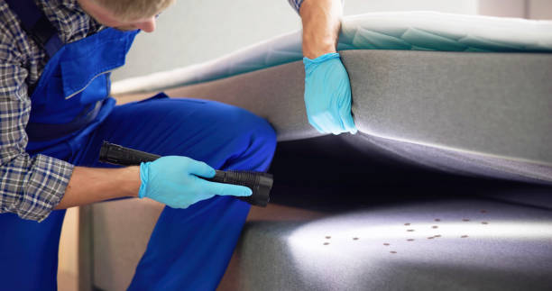 Best Best Pest Control Companies  in Quanah, TX